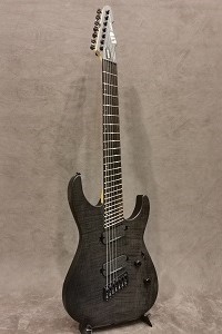 ESP LTD M1007MS